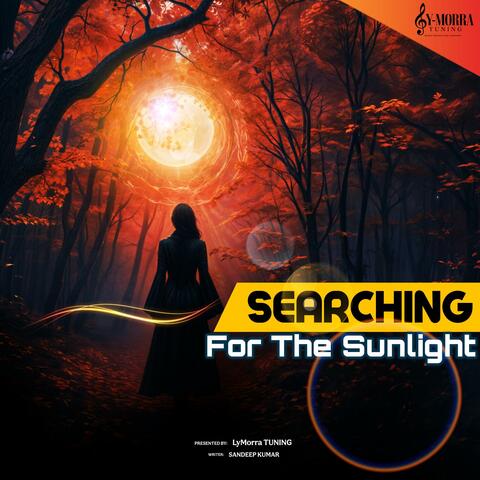 Searching For The Sunlight