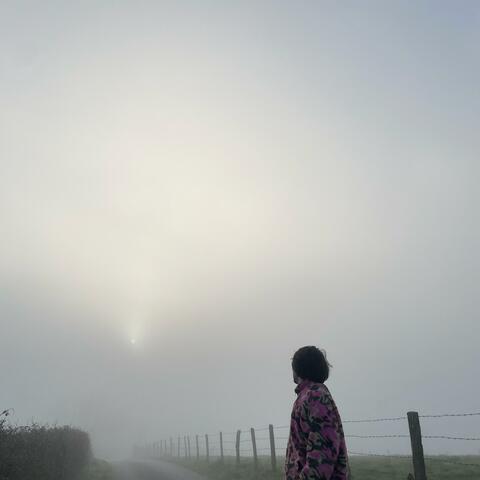 light.