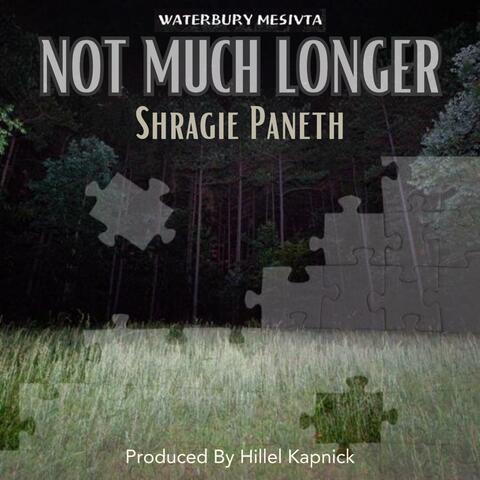 Not Much Longer (feat. Shragie Paneth)