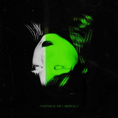 CHAPTER XI: THE CARDINAL 7