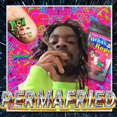 PERMAFRIED
