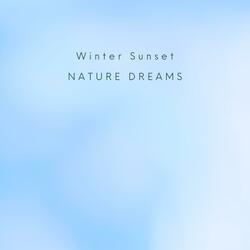 Winter Sunset