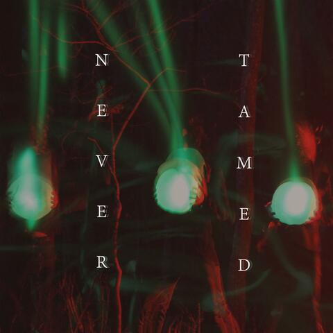 Never Tamed