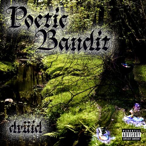 Poetic Bandit