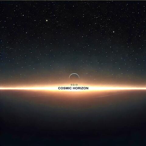 Cosmic Horizon