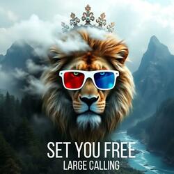 Set You Free