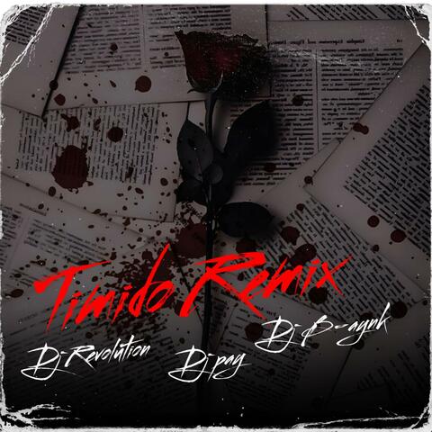Timido Remix (feat. Dj B-aynk & Dj Pay)