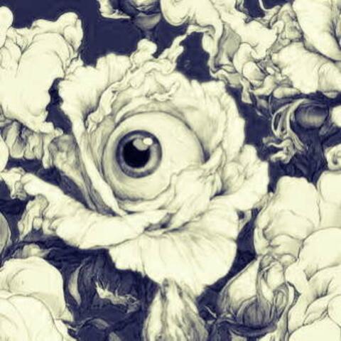 Origin