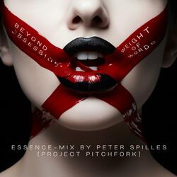 Weight of Words (feat. Project Pitchfork) (Essence-Mix by Peter Spilles)