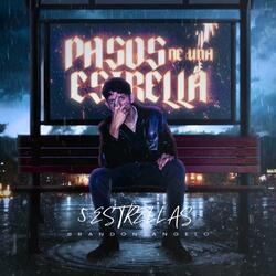 5 Estrellas