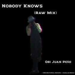 NOBODY KNOWS (feat. Chris Illas) (Raw Mix)