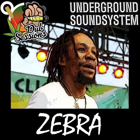 Selassie Send Mi Fi War (Answer Riddim) (feat. Zebra) [Dubplate]
