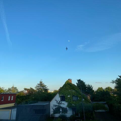 OhH BaBy (Brokenlove)