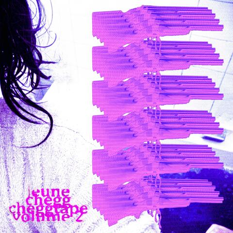 Cheggtape volume 2