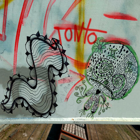 TONTO