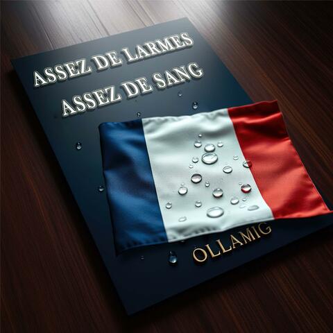 Assez de larmes assez de sang