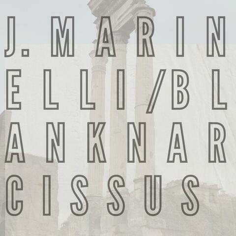 Blank Narcissus