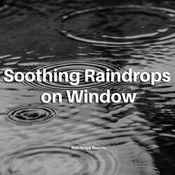 Soothing Raindrops on Window