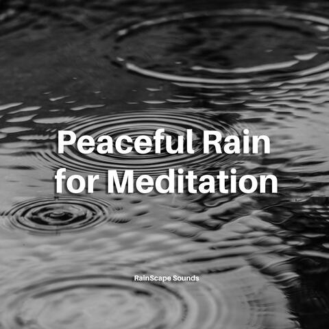 Peaceful Rain for Meditation