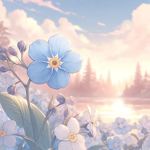 Forget Me Not