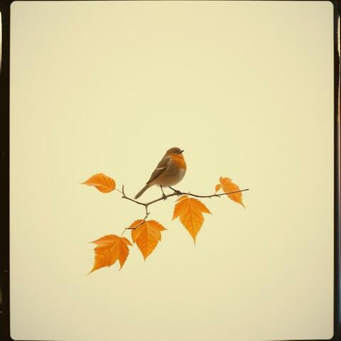 Voglio morire di più