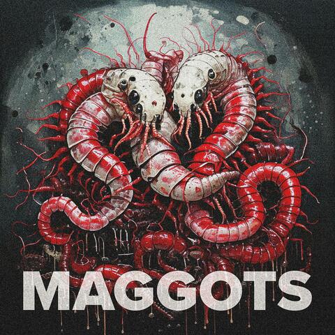 MAGGOTS