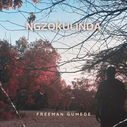 Ngzokulinda