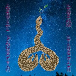 Aerial Pangolin Dream Director