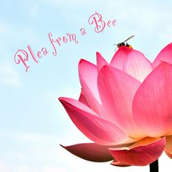 Plea from a Bee (Krishna Deva)