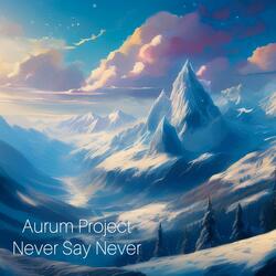 Never Say Never