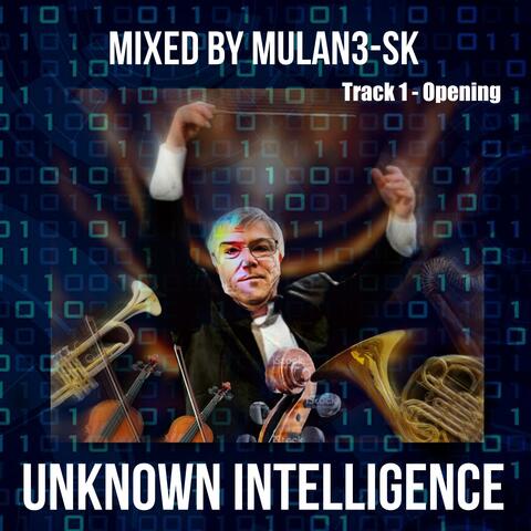 Unknown Intelligence