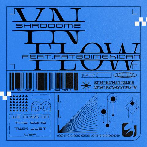 YN FLOW (feat. FATBOIMEXICAN)