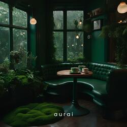 Rainy Window