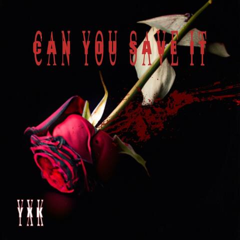 Can you save it