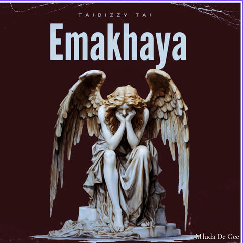 Taidizzy Tai (Emakhaya) (feat. Mluda De Gee & Thesco Beats) [Radio Edit]