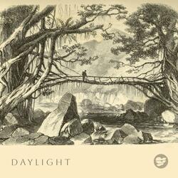 Daylight