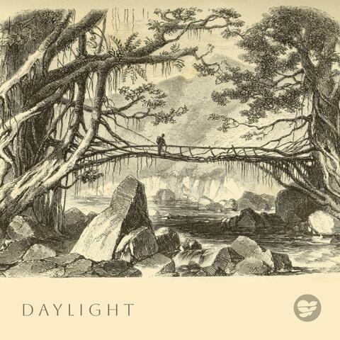 Daylight
