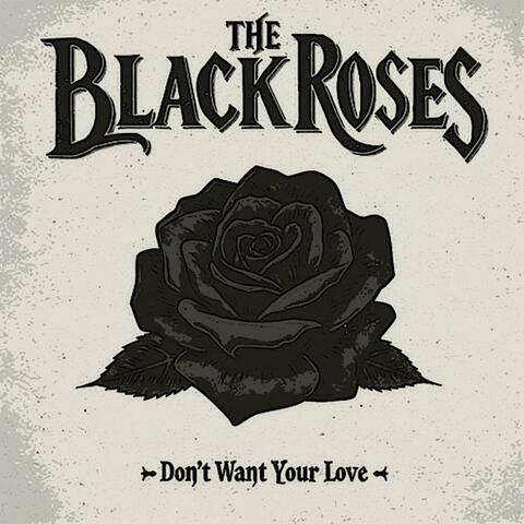 Don't Want Your Love