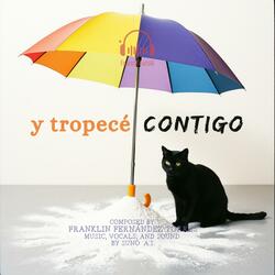 Y Tropecé Contigo