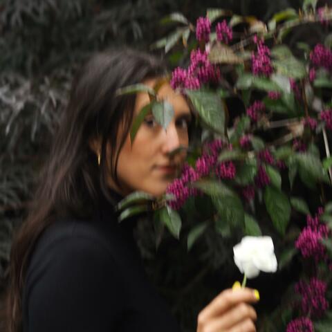 Honey You're A Hammer