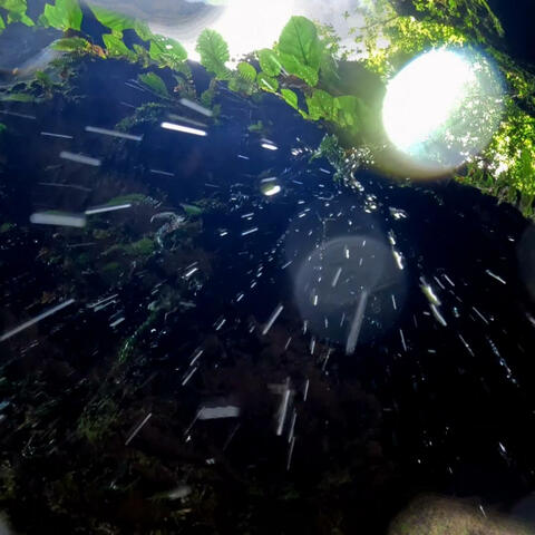 Susurros de Cristal (Original Version)
