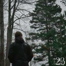 23