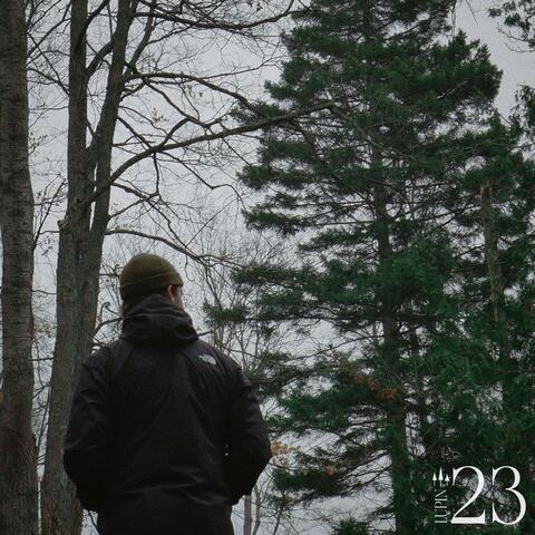 23
