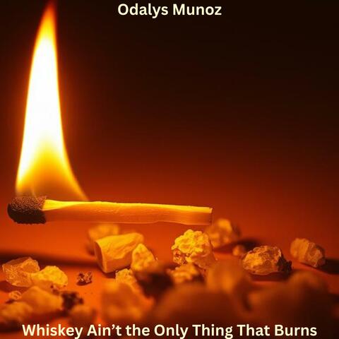 Whiskey Ain’t the Only Thing That Burns