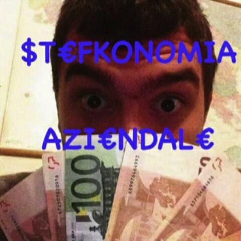Stefkonomia Aziendale 2