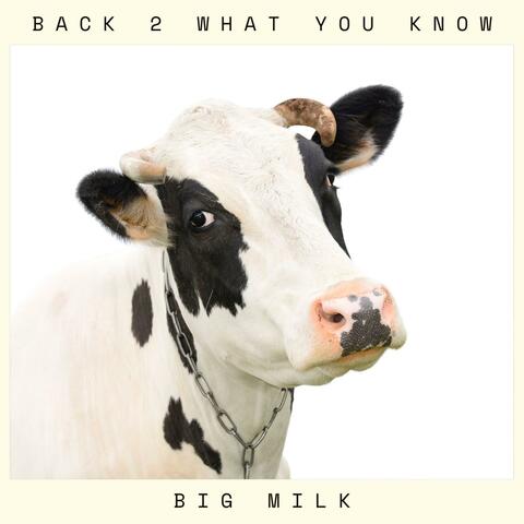 BACK 2 WHAT YOU KNOW