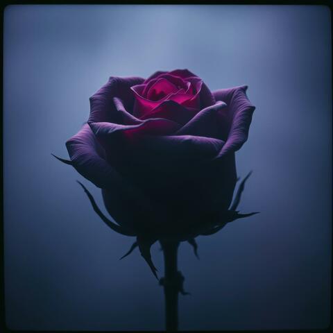 Silent Tombs, Cursed Land