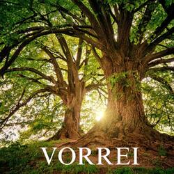 VORREI (feat. Tino Favazza)