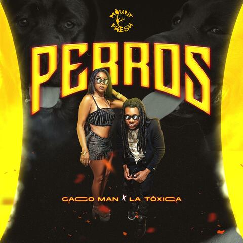 Perros (feat. La Toxica)