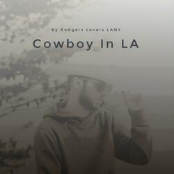 cowboy in LA